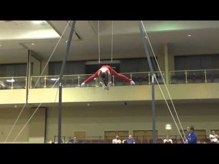 Ryan Wangler – Still Rings – 2015 Winter Cup Prelims