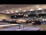 Vitali Kan - Pommel Horse - 2015 Winter Cup Prelims