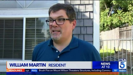 Mountain Lion That 'Endangered' Southern California Community Killed by Police