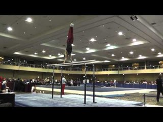 Ryan Sheppard - Parallel Bars - 2015 Winter Cup Prelims