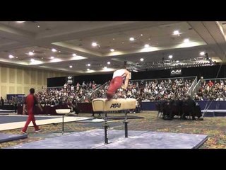 Allan Bower - Pommel Horse - 2015 Winter Cup Finals