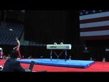 Robert Neff - Pommel Horse - 2013 P&G Championships - Jr. Men - Day 1
