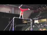 Gu Baisen (CHN) - High Bar - 2016 Pacific Rim Championships Team/AA Final