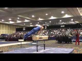 Peter Daggett - Pommel Horse - 2015 Winter Cup Finals