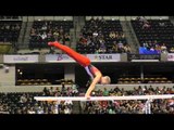 Danny Berardini – Parallel Bars – 2015 P&G Championships – Sr. Men Day 2
