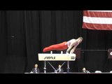 Colin Van Wicklen - Pommel Horse - 2015 P&G Championships - Sr. Men Day 1