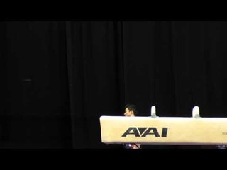 Sean Melton - Pommel Horse - 2015 P&G Championships - Sr. Men Day 2