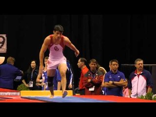 Levi Anderson - Vault - 2015 P&G Championships - Jr. Men Day 2