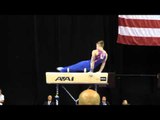 Tristan Burke - Pommel Horse - 2015 P&G Championships - Sr. Men Day 2