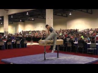Kevin Wolting - Pommel Horse - 2016 Winter Cup Finals