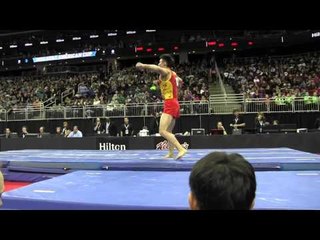 Wei Sun (CHN) - Vault - 2016 AT&T American Cup