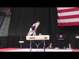 Chris Brooks - Pommel Horse - 2016 P&G Championships - Sr. Men Day 1