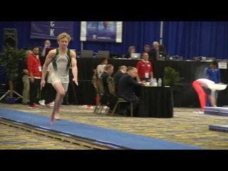 Riley Loos - Vault - 2017 Winter Cup Prelims
