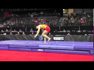Wang Peng (CHN) - Vault - 2016 Pacific Rim Championships Team/AA Final