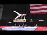 Kevin Wolting - Pommel Horse - 2016 P&G Championships - Sr. Men Day 1