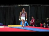 Mao-Hua Chiu (TPE) - Vault Final 2 - 2016 Pacific Rim Championships