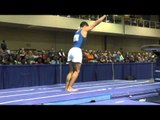 Donothan Bailey - Vault - 2015 Winter Cup Prelims