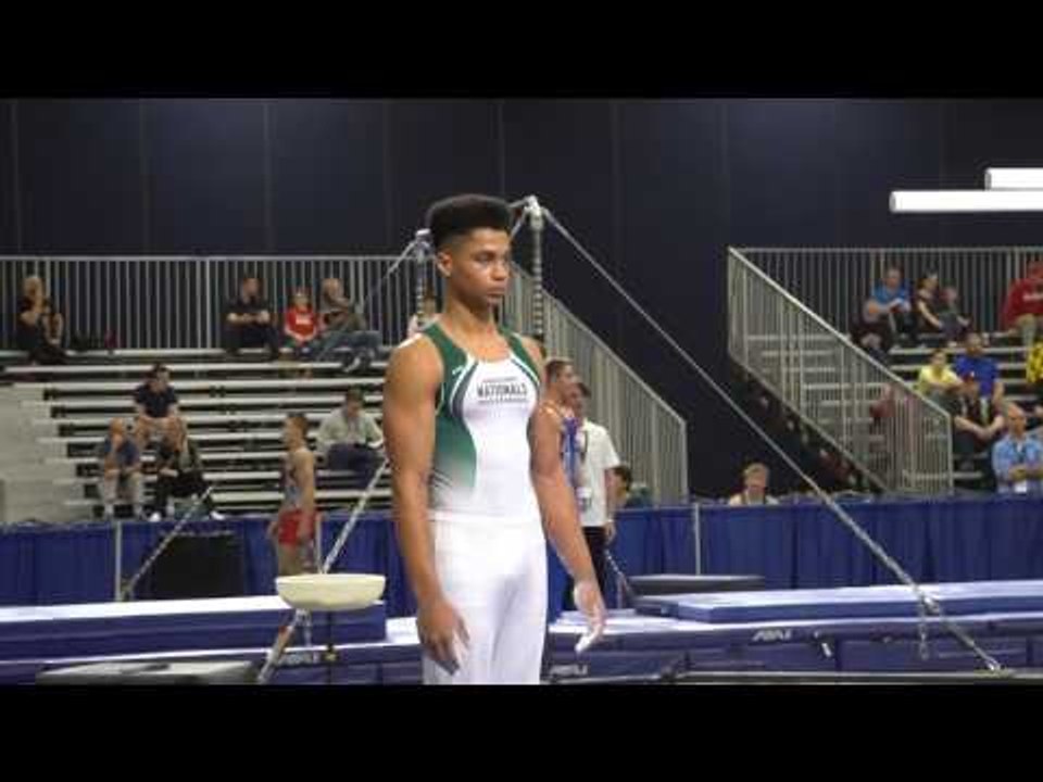 Jordan Williams - Parallel Bars - 2017 Winter Cup Prelims