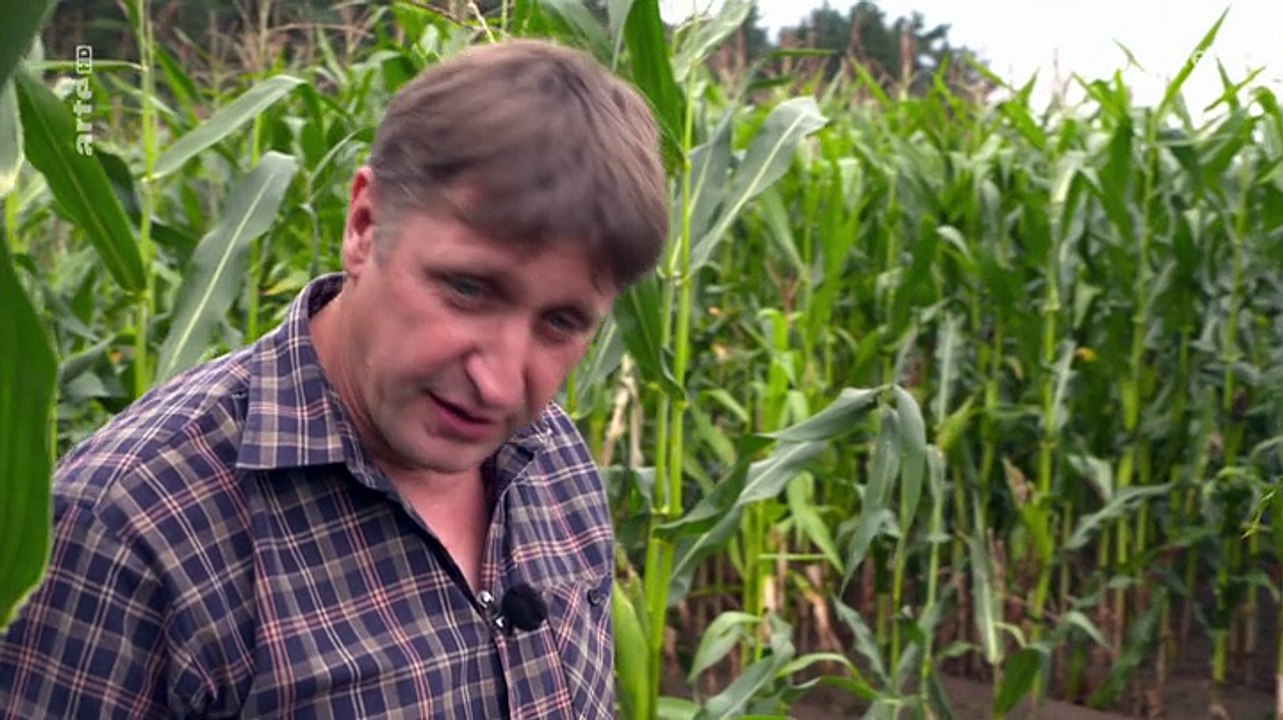 Re: Die cleveren Wildschweine von Usedom - Jäger ohne Chance (Doku)