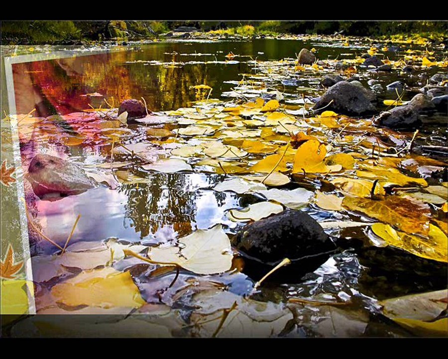 Phạm Đức Nghĩa trình bày Đường Tình Mùa Thu, nhạc Phạm Mỹ Lộc.