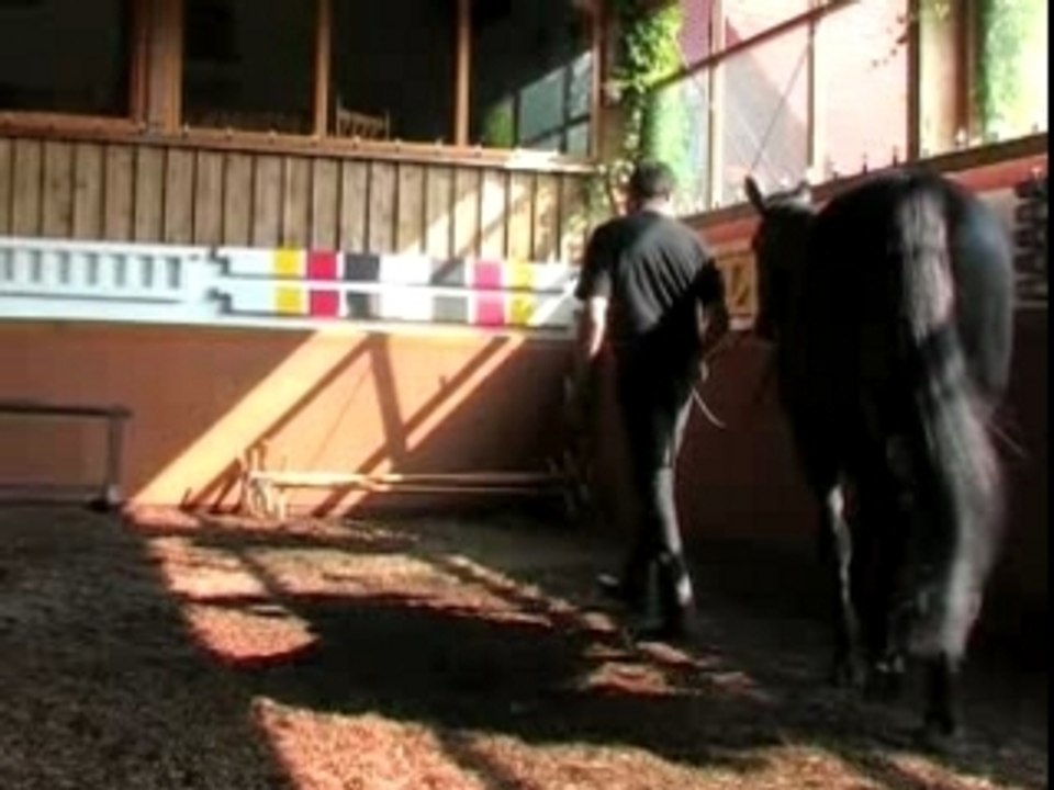 Sicher aufsitzen vom Podest