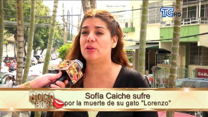 Sofía Caiche lamente la muerte de su gato, sus ex se solidarizaron con ella