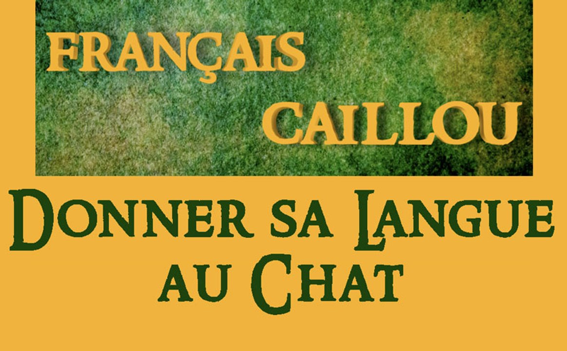 Français caillou / Définition du jour : "Donner sa langue au chat"