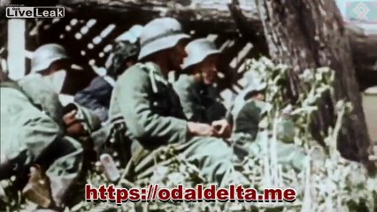 Was wollen wir trinken?