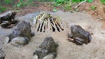 Amazing Deep Hole Frog Trap With Tree Sticks by Two Brothers