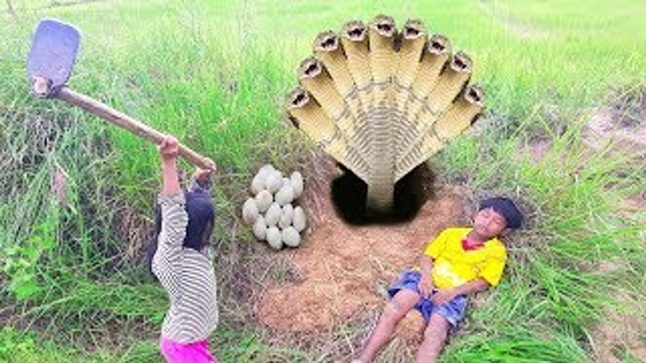 Terrifying !! My Daughter and Son Catch Two Big Snakes in My Farm