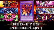 Deck Red-Eyes Predaplant (Diciembre/ December 2016) / (Duels and DeckList)