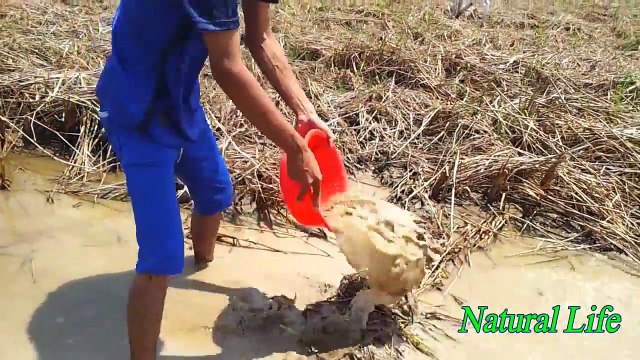 Wow! Amazing People Catching Fish By Hands-best Fishing Videos-Amazing Fishing Videos hunter-Fishing