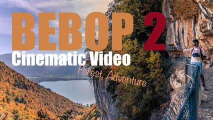 BEBOP 2 - Cinematography - Forest Adventure French Alps