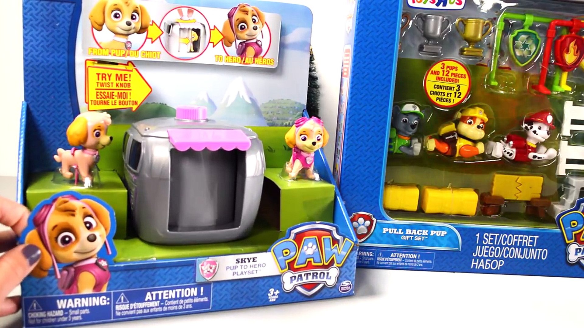 paw patrol pull back pup