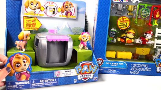 paw patrol pull back pup