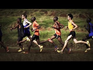 The Robertsons: Driven (Trailer)