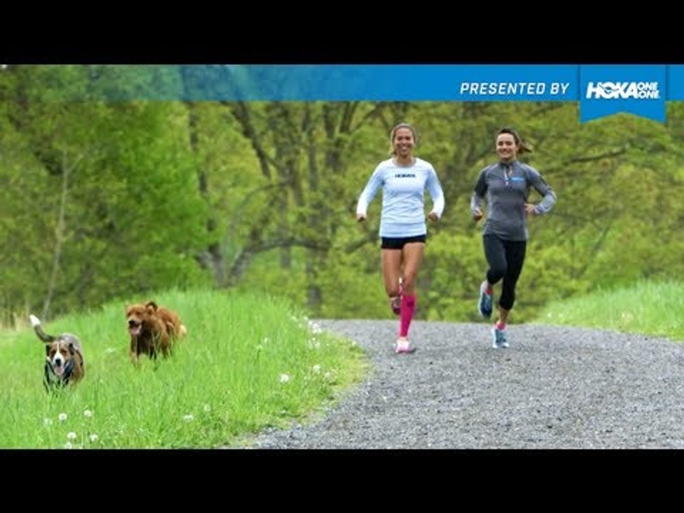 HOKA HACKS: Training With Your Four-Legged Friends