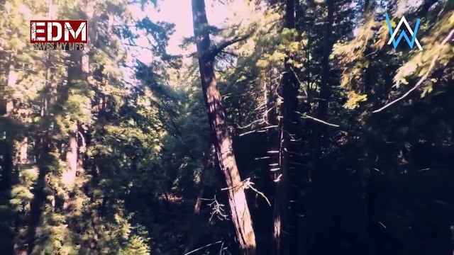 Alan Walker - Free Your Soul New song 2017 Official video in the United States