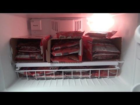 This Track Team Is Fueled By Hot Pockets? UTEP Track Tour