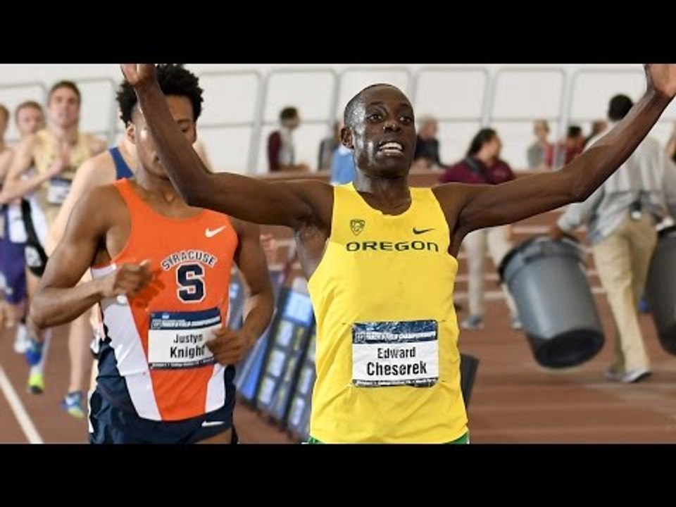 Edward Cheserek Chasing GOAT Status LIVE on FloTrack
