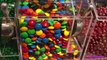 CANDY HUNT Sweets Jelly Belly,Giant Candy Sour Candy Gummy|B2cutecupcakes