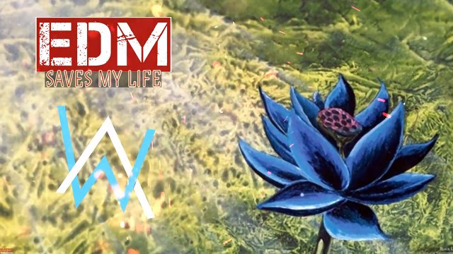 Alan Walker - Black Lotus ⚡ New Song 2017