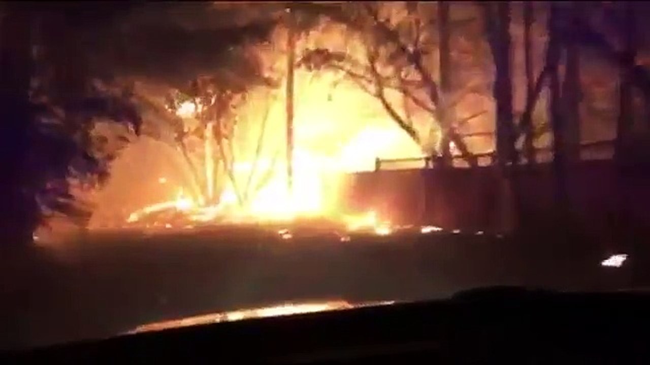 Dog refuses to move when the flames spread – then owner sees what he’s protecting