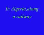 In Algeria, along a railway..في الجزائر على جانب سكة حديدية