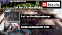 Megalodon Shark Caught on Tape, Real Mermaids, Top 5 Giant Snakes, Mesothelioma - Info, New Tech
