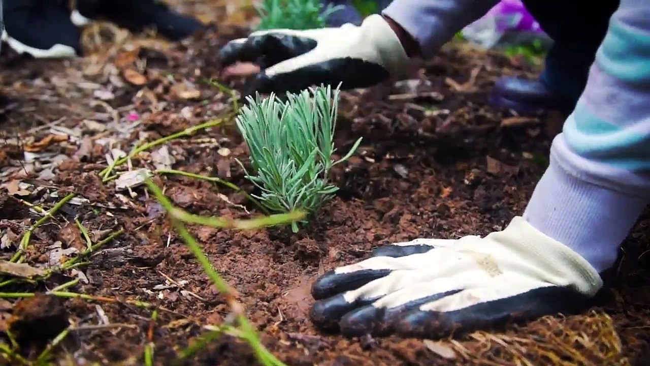 Community Project to Manage Stormwater Benefits 765 Acres in the Jordan Lake Watershed