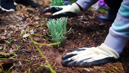 Community Project to Manage Stormwater Benefits 765 Acres in the Jordan Lake Watershed