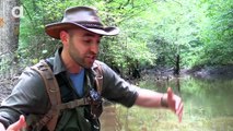 Lair of the Alligator Snapping Turtle - Dragon Tails Episode 6