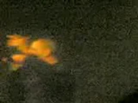 SOPRANO MELANCOLIQUE ANONYME ZINO