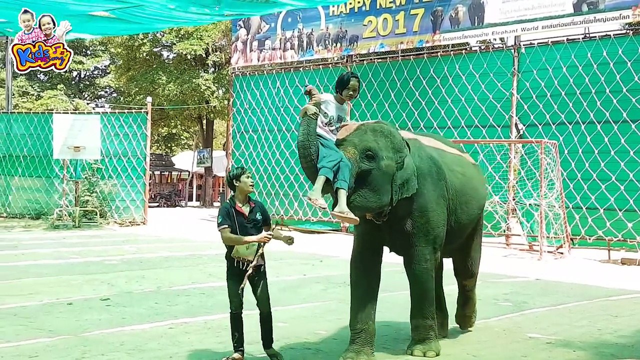 เพลงรถไฟมาแล้ว |รถไฟฉึกฉัก ปู๊นๆ เพลงเด็กอนุบาล 10 นาที By KidsMeSong